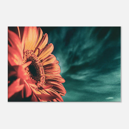 b6879174-cbdd-4809-a15b-427a5a96b86f