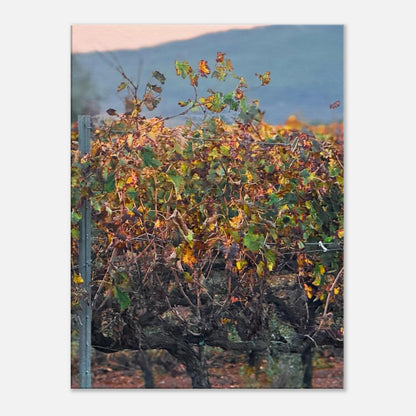 b68b8da9-aa37-4e72-af5e-e641be89cd1b