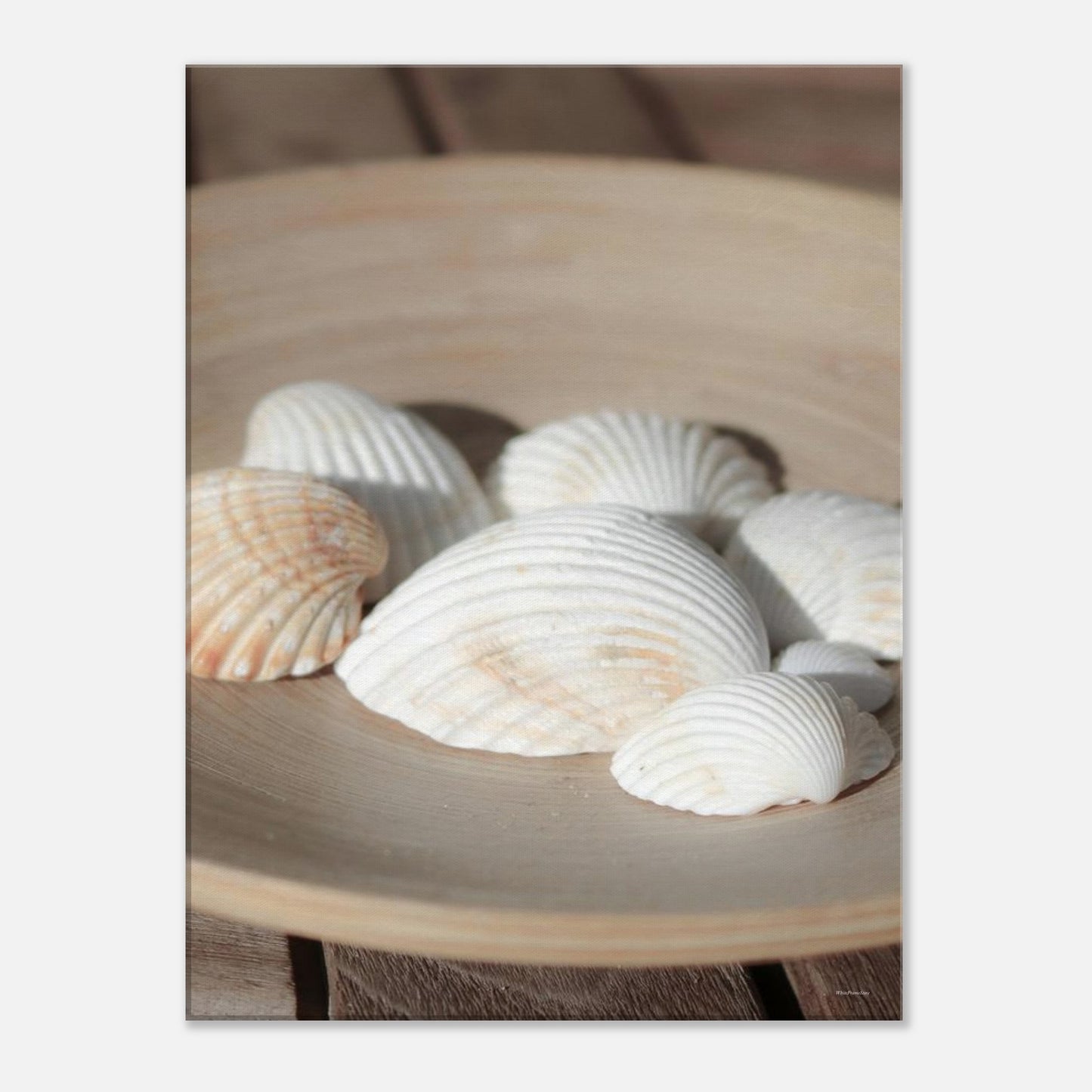 b6927861-442e-4baa-a87c-d8d85762b257