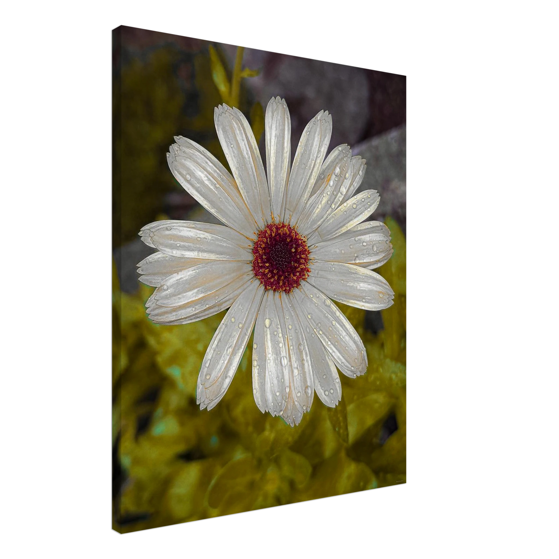 b69b516b-965b-4c2d-9f3e-1a1b9e0ab47a