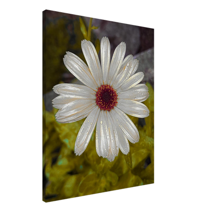 b69b516b-965b-4c2d-9f3e-1a1b9e0ab47a