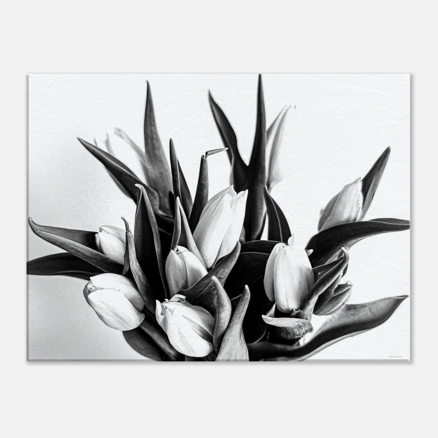 b6b9a4f6-45ea-4c38-8cb3-15a08b63d816