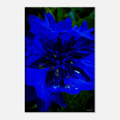 b6bc465d-f724-4351-9e57-960535561d5a