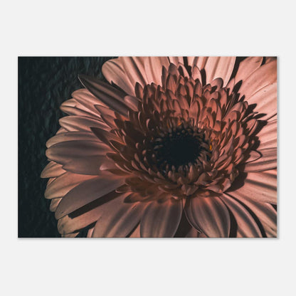 b6c330c4-d22c-4d40-a909-79018bb808e5