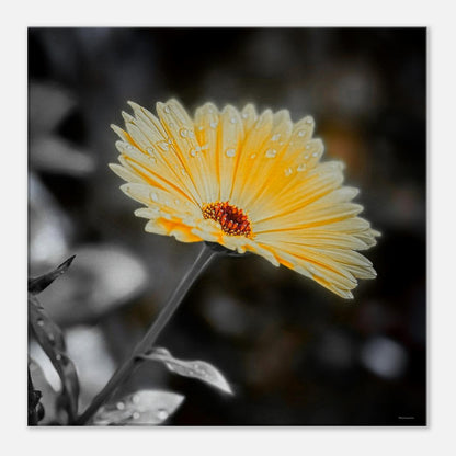 b6dba3e7-a894-44df-ba46-b94e2c04d595