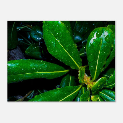 b7185eeb-c29e-452c-8ef9-b58f04fdd350