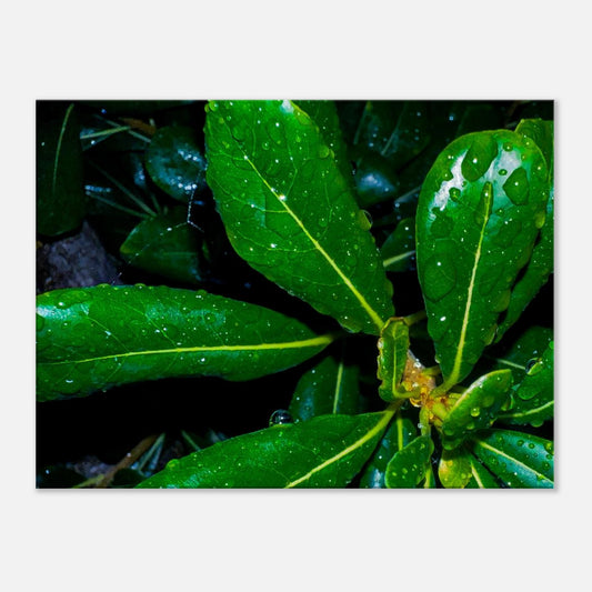 b7185eeb-c29e-452c-8ef9-b58f04fdd350