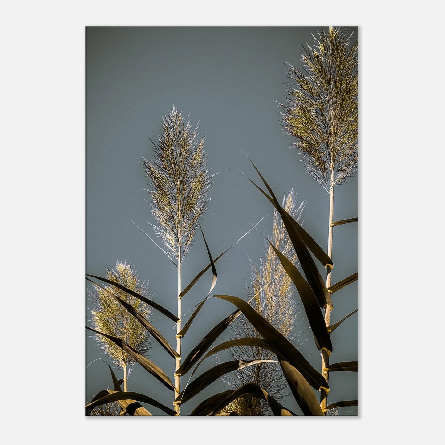 b72c636f-97aa-4bc9-ba02-2876dbc28839