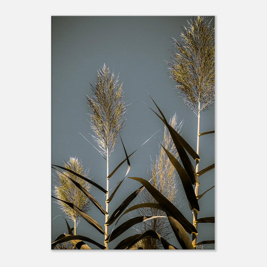 b72c636f-97aa-4bc9-ba02-2876dbc28839