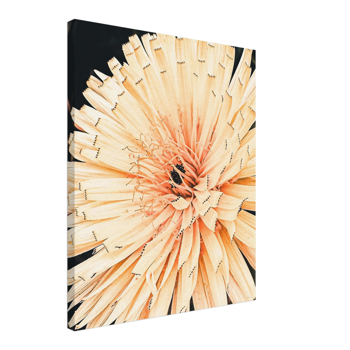 b7397d32-5ea1-4c2e-812c-4f7be175c442