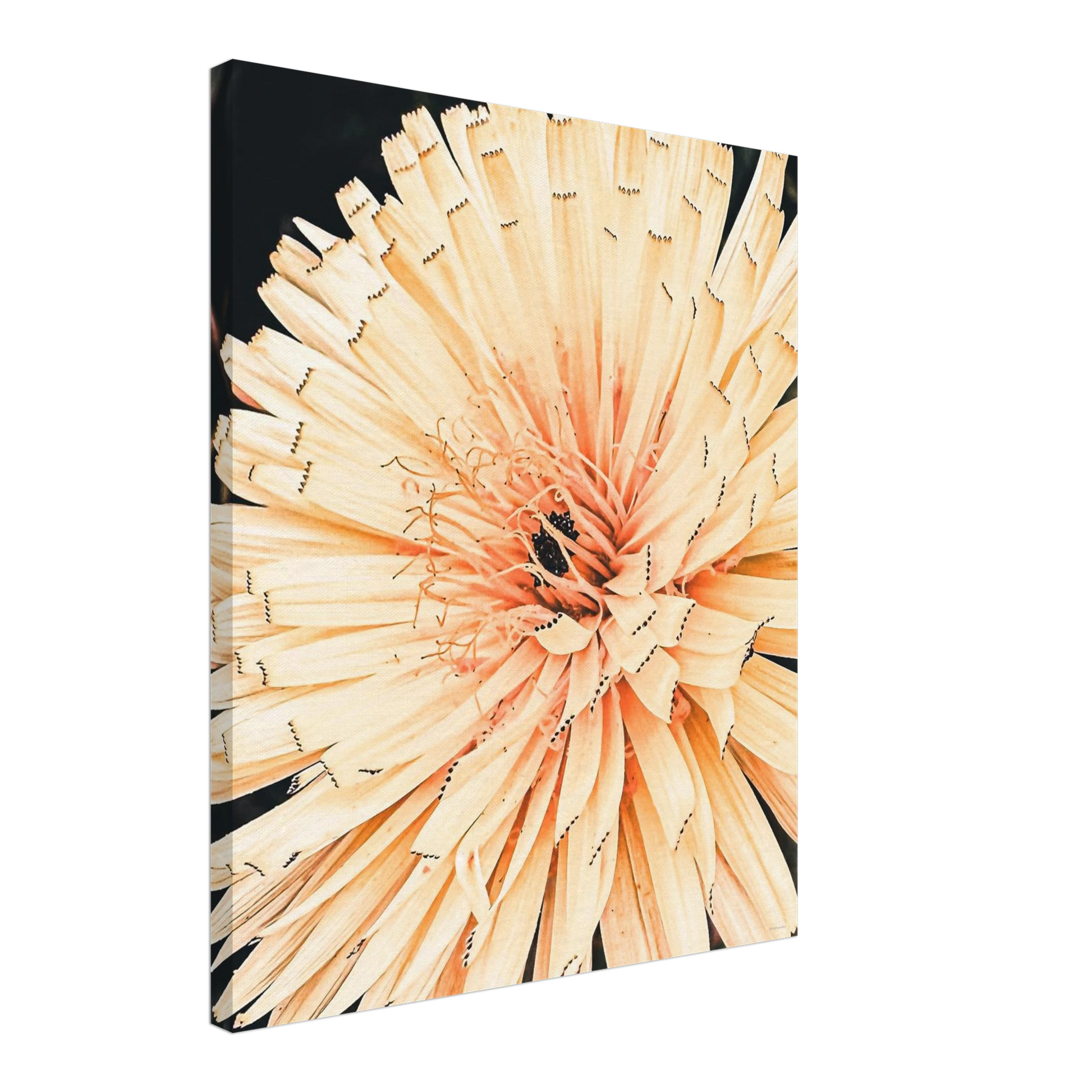 b7397d32-5ea1-4c2e-812c-4f7be175c442