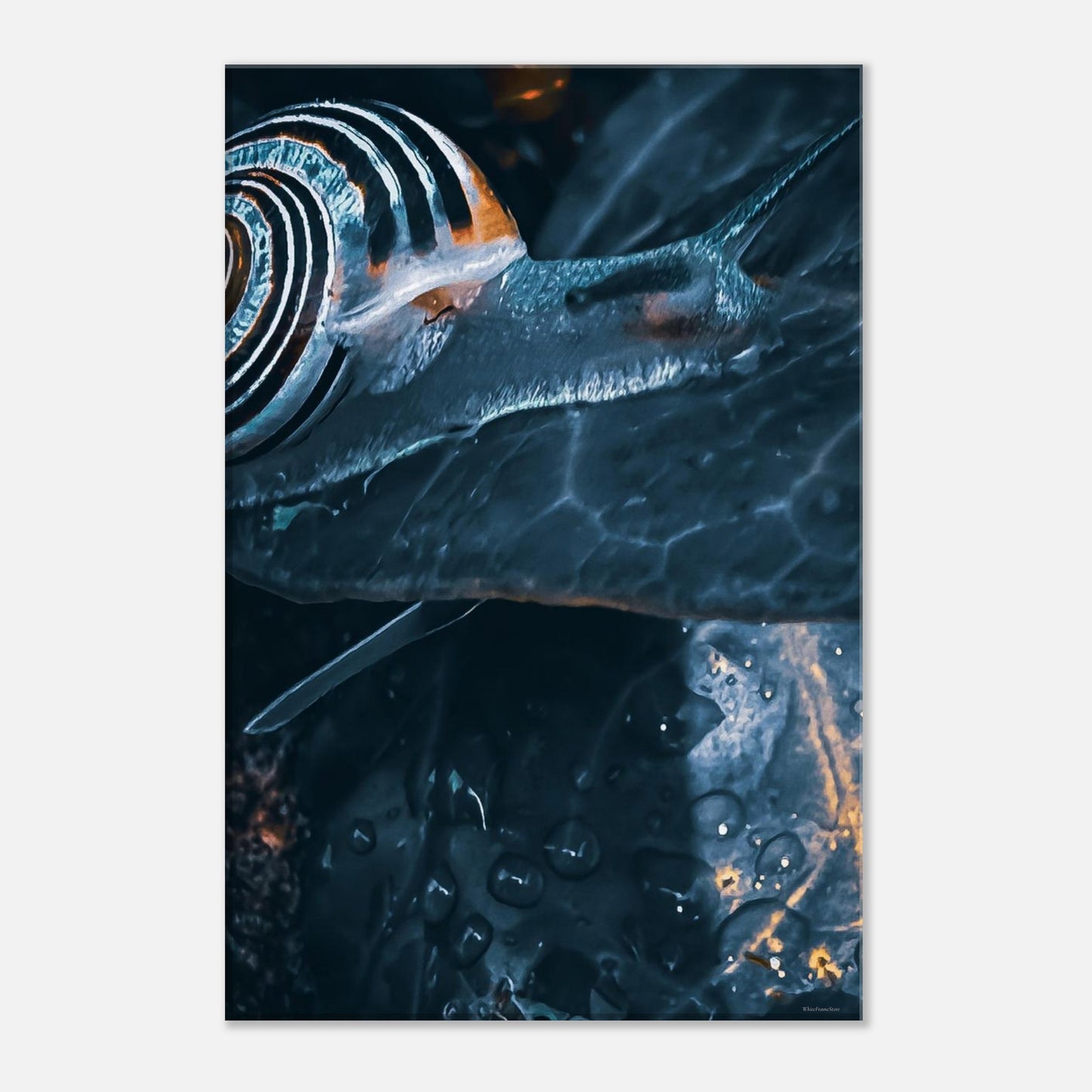 b766c718-3842-4820-bb0b-ab7385d8b692