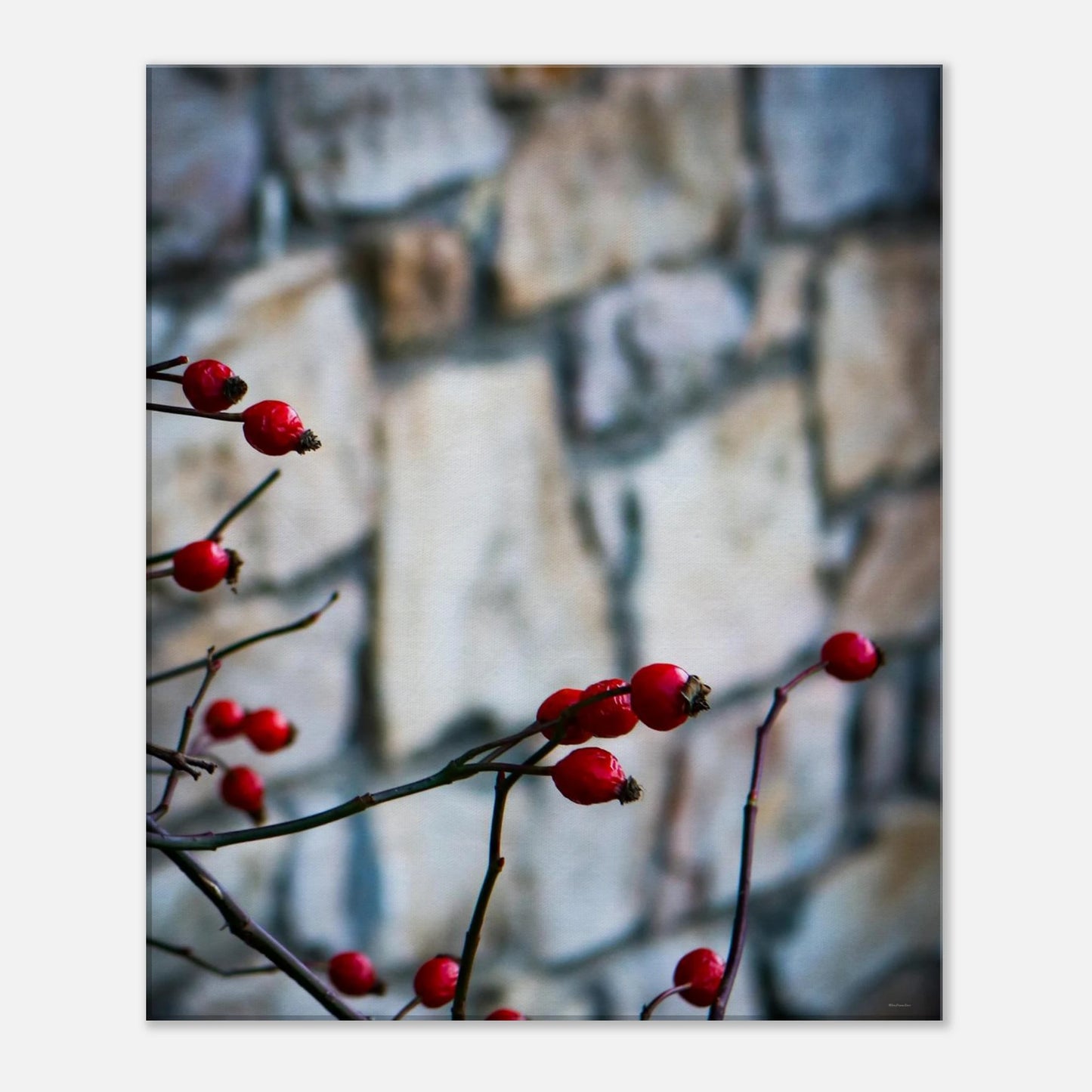 b7766b63-930f-43e5-a024-106c9694bd11