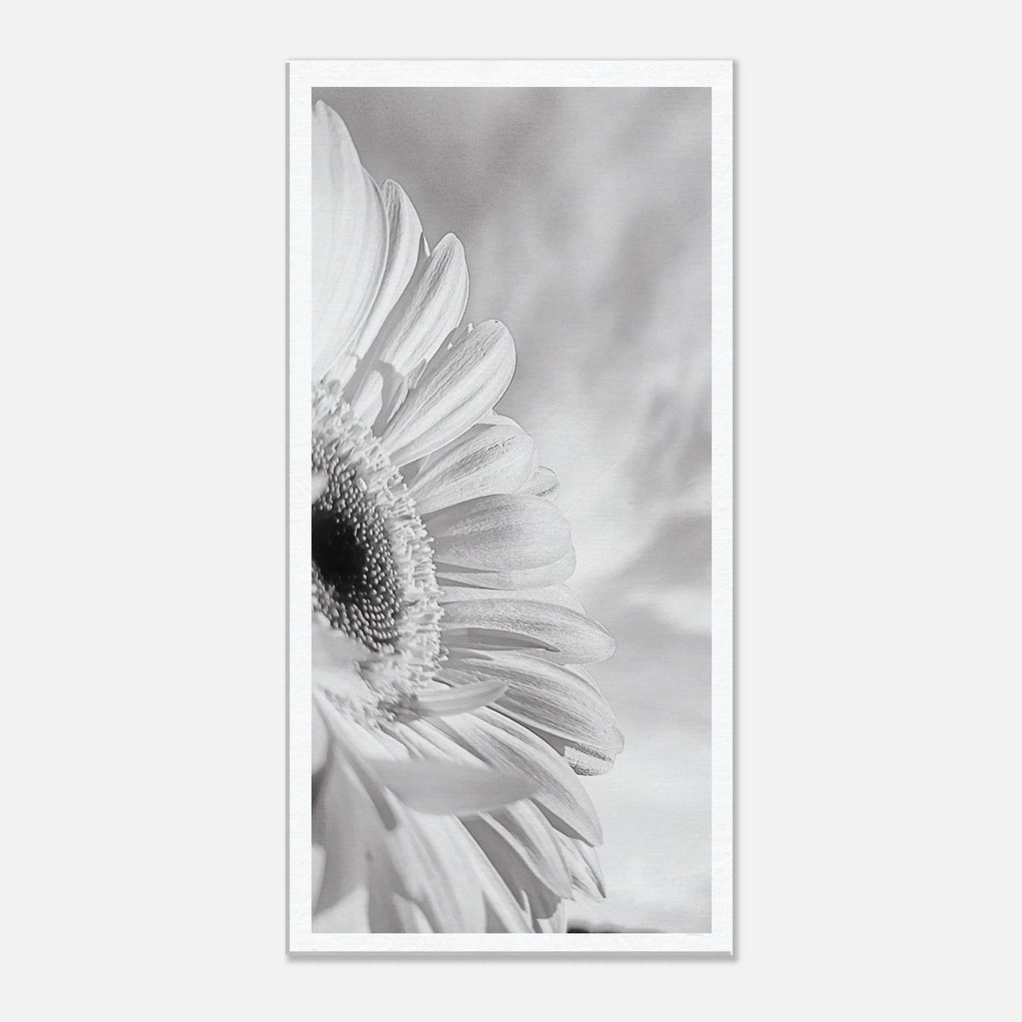 b792b7c8-48d9-4a51-9b6a-ef4a9c1747ea