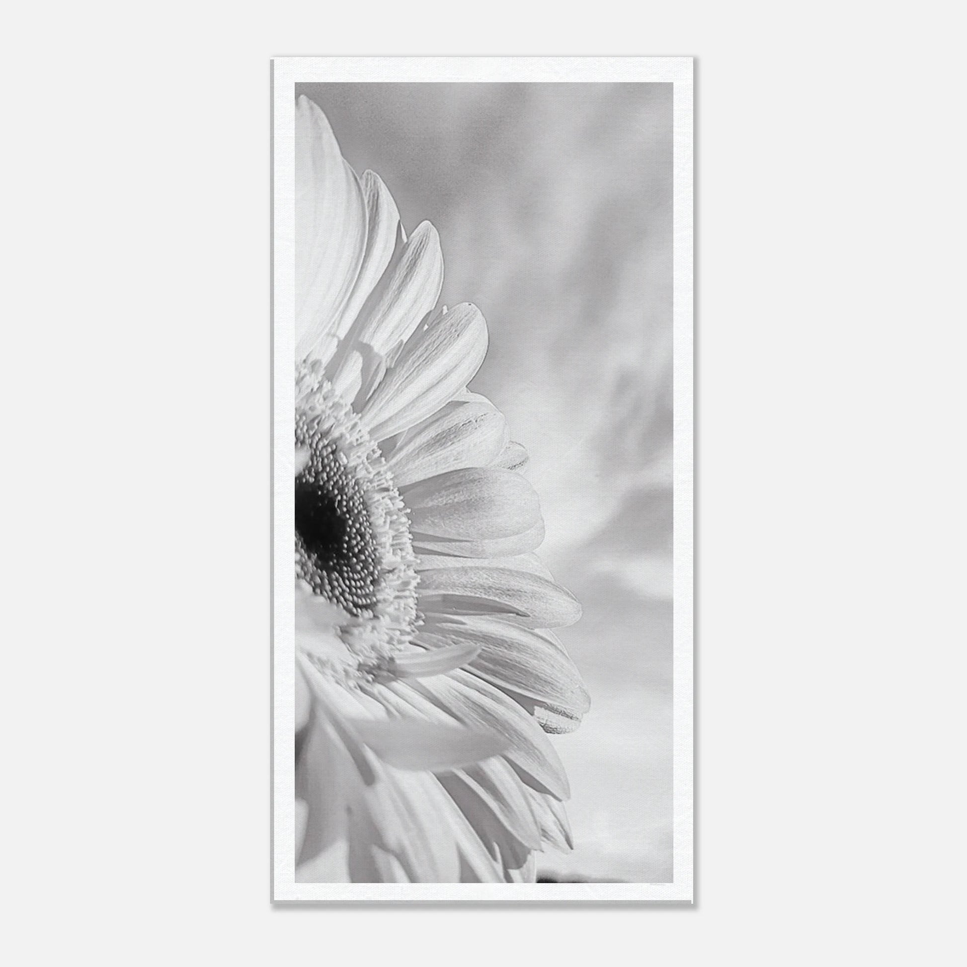 b792b7c8-48d9-4a51-9b6a-ef4a9c1747ea