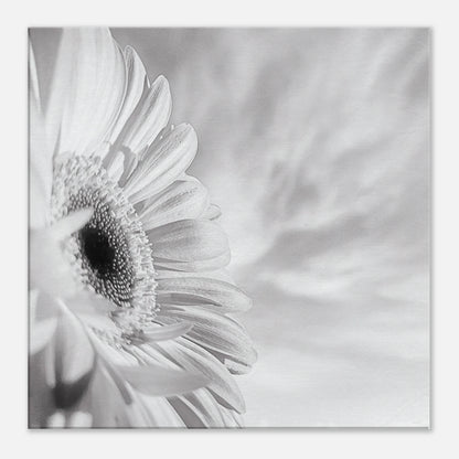 b798a2b9-c1d5-467a-b302-d6def217dee3