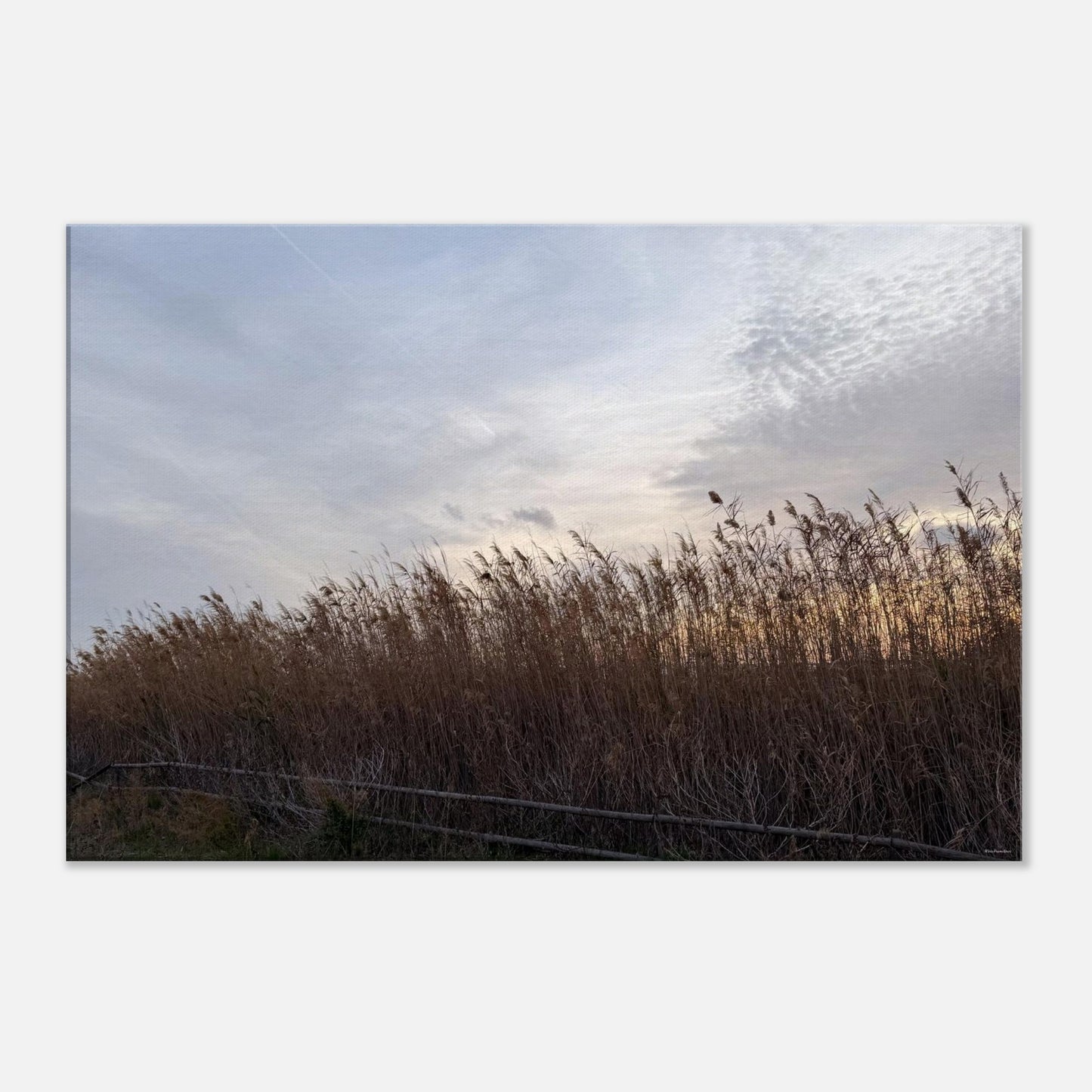 b7a6821c-20ac-48be-a379-ebd40f5ea524