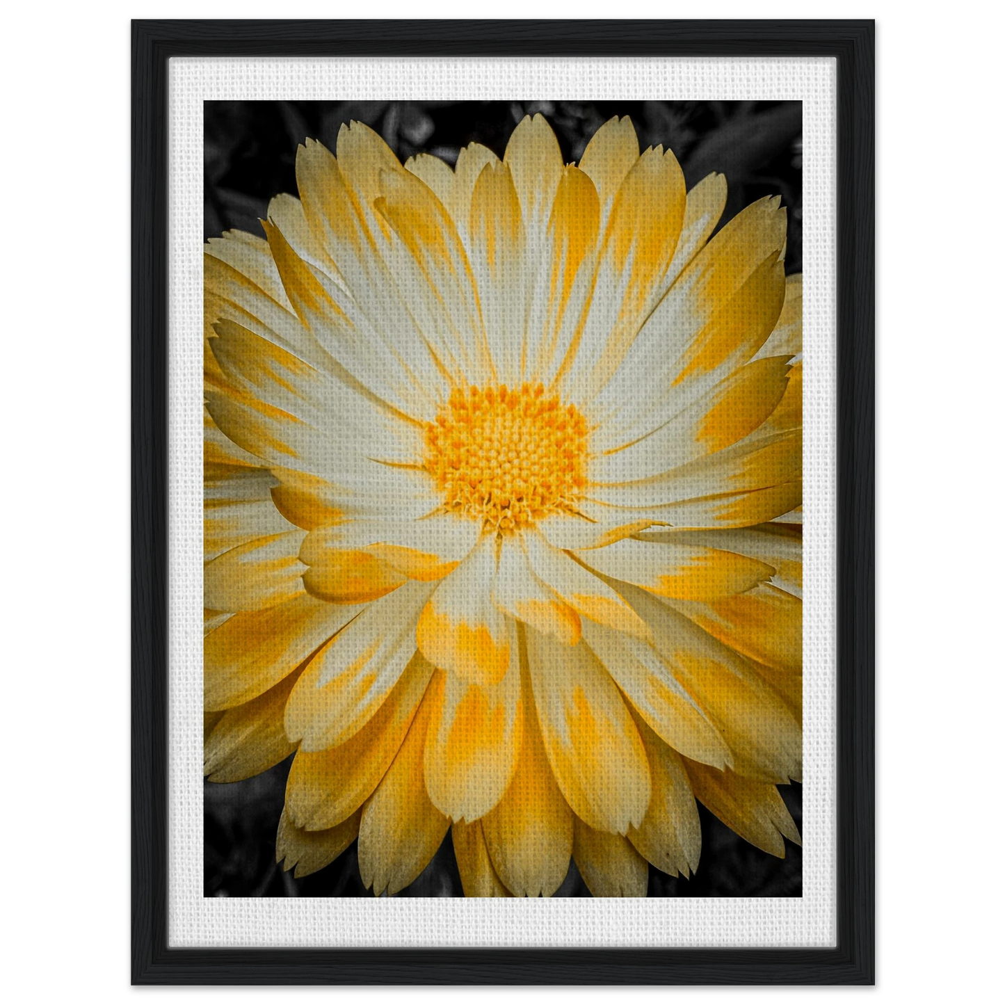 b7b1d56b-1902-4fda-8f49-2086258fd352