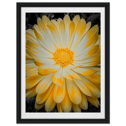 b7b1d56b-1902-4fda-8f49-2086258fd352