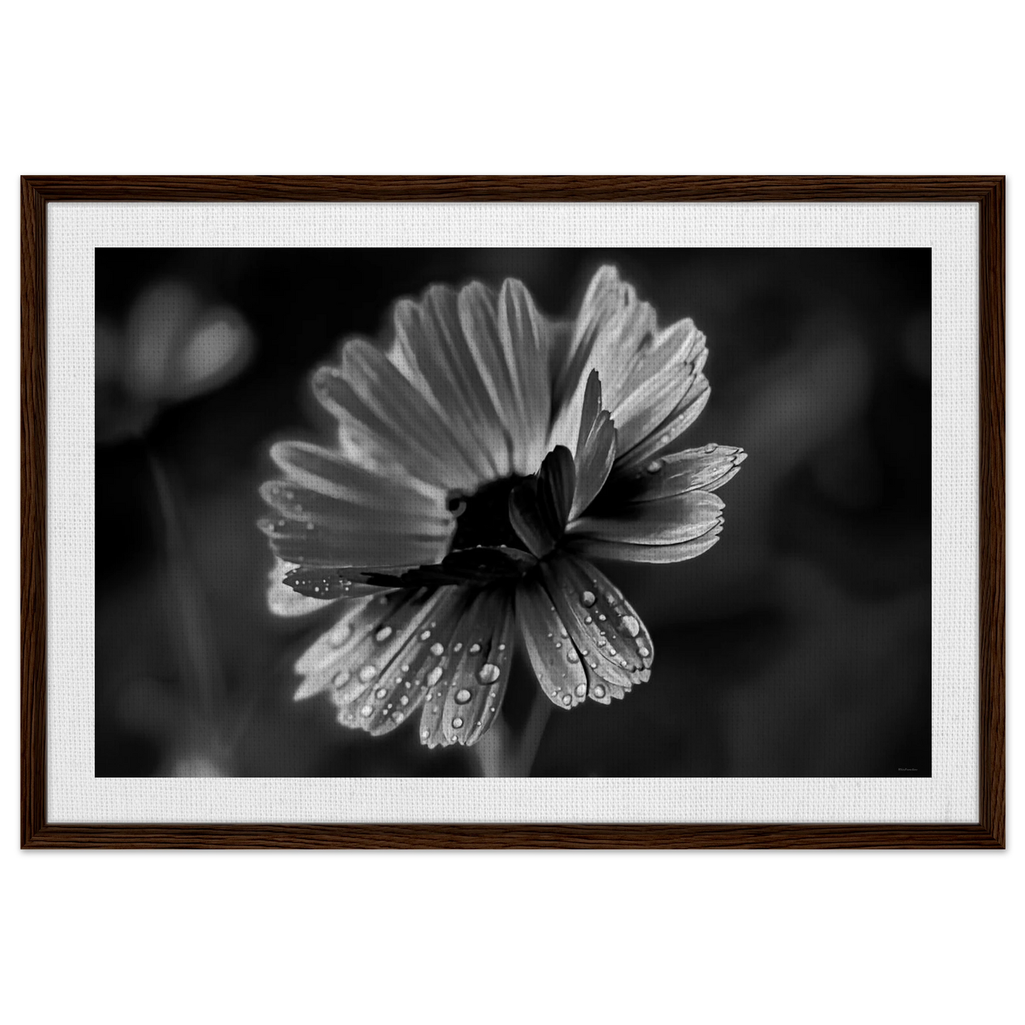 b7cf651d-87a6-433a-9ecc-82a6928a0766