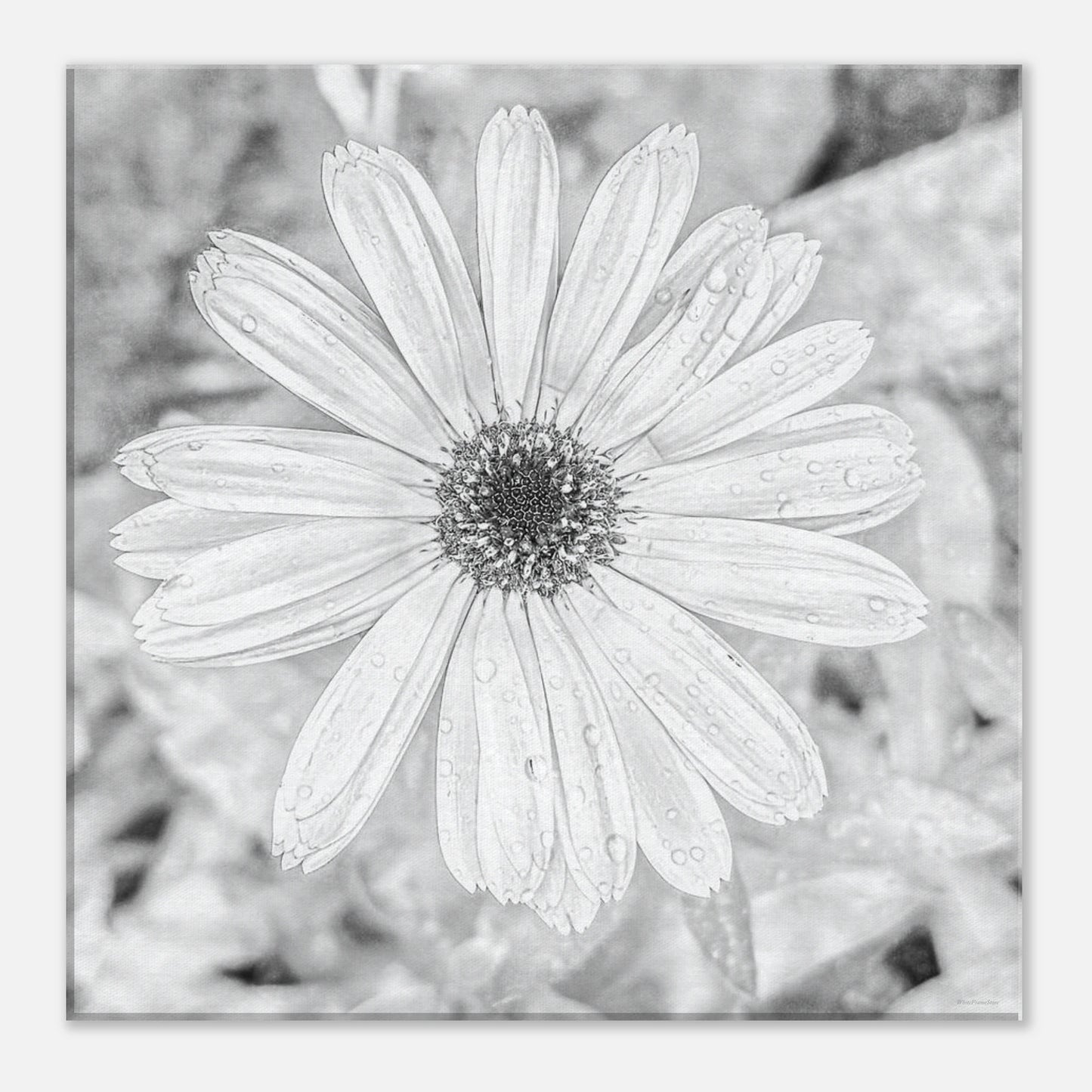 b7f0d8e6-6e64-45f9-9818-4b24059477a1