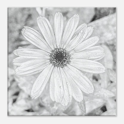 b7f0d8e6-6e64-45f9-9818-4b24059477a1