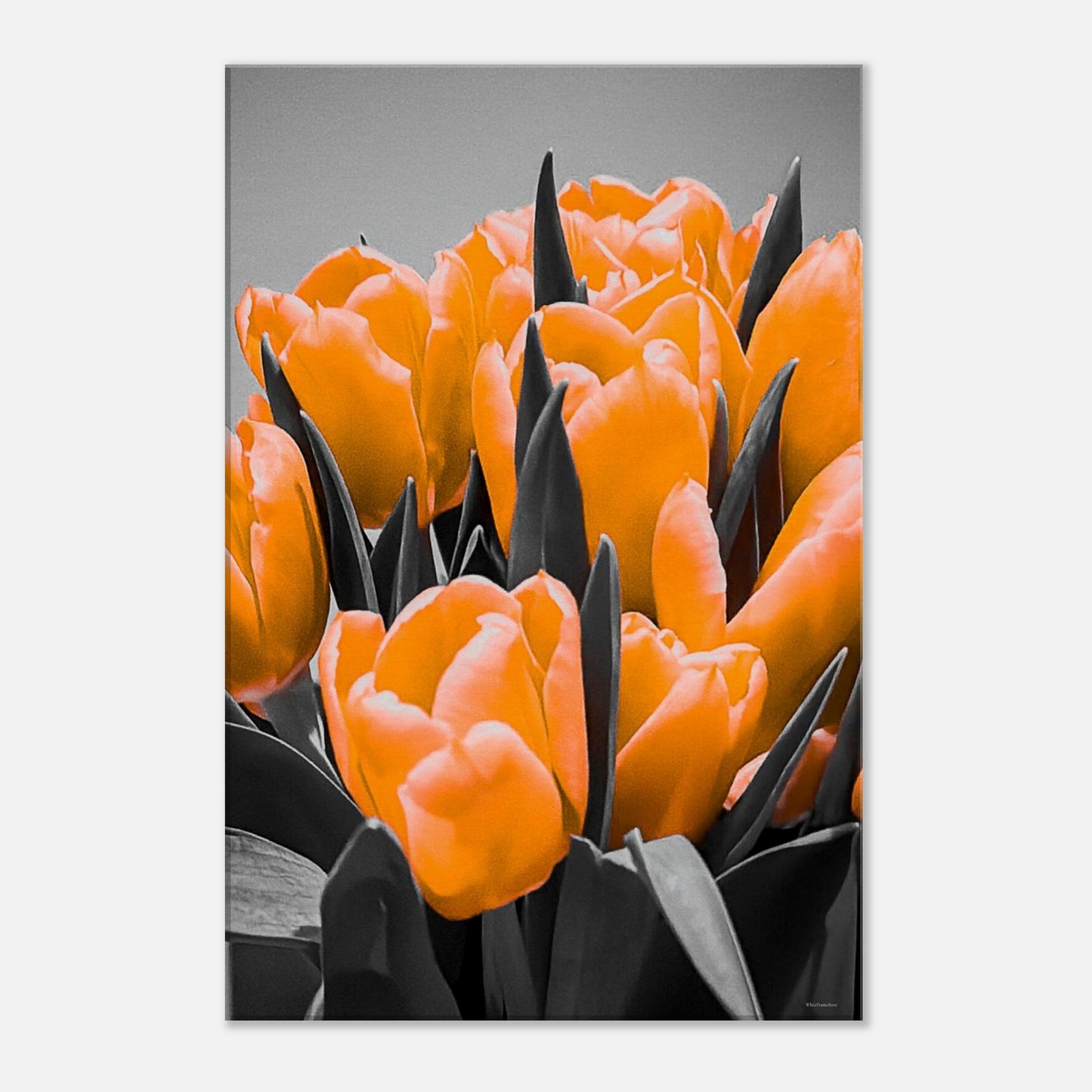 b82dc82b-d150-4924-9a29-f4bd903ae48a