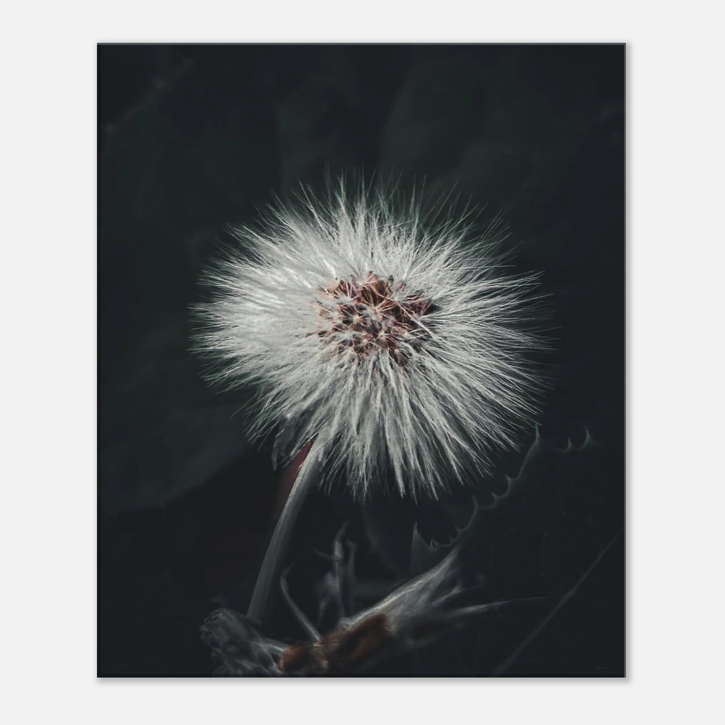 b82dfac2-00f9-4abe-9b23-b3e01dc27dc9