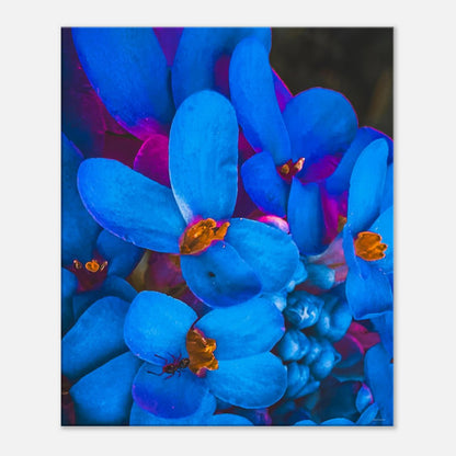 b859a023-968d-40e8-97bb-bfc9c5bb8975