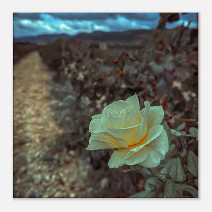 b85a8218-3d9d-423c-8068-e768e41e15a8