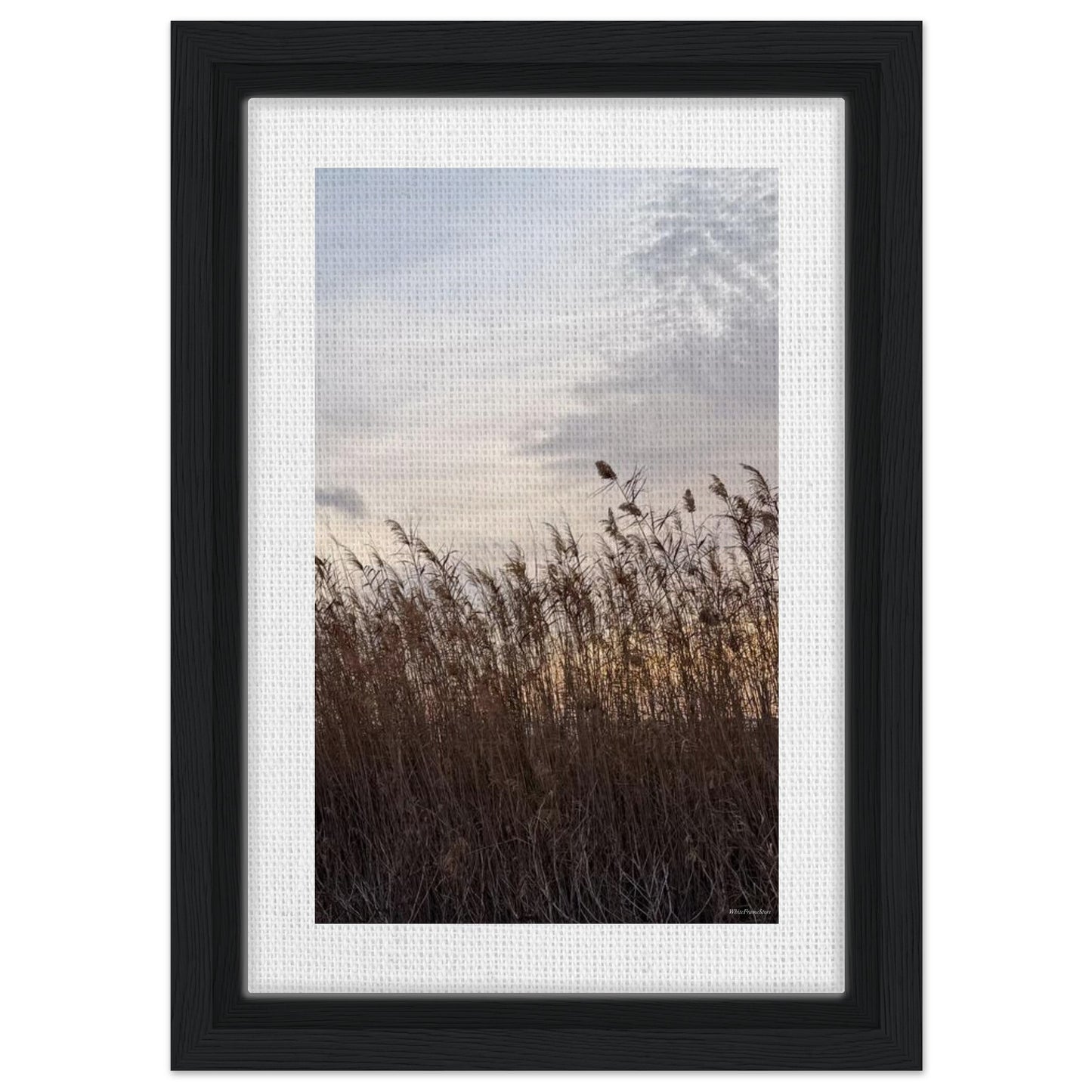 b85fde83-66b8-4713-a668-b6bfff85ece4