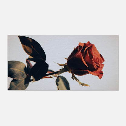 b896317c-cb72-4f42-80f0-0be9a73b19d6