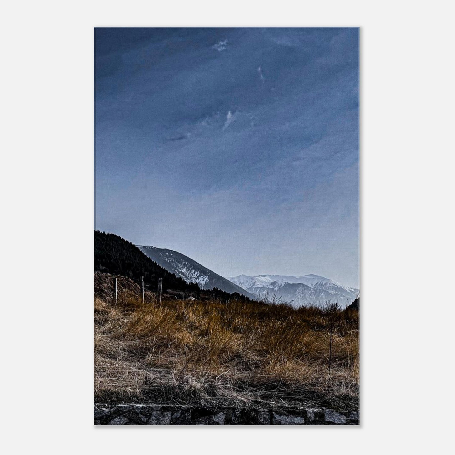 b8b00682-7b10-496d-b5a0-ca1e6793e918