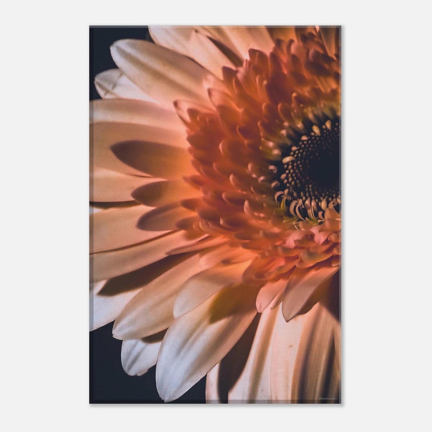 b8c41099-c3f5-4b97-8016-34a594e70ac5