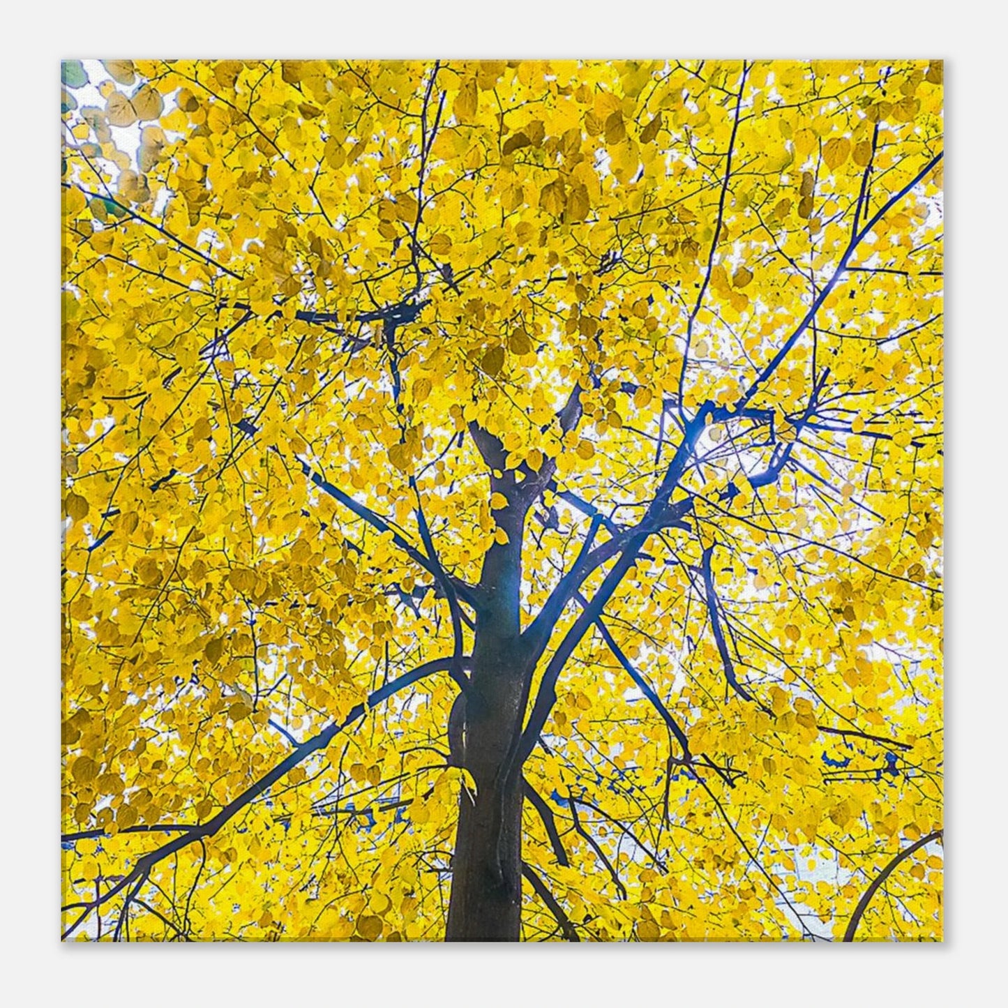 b934a4b2-c1e3-4d05-bcab-1792e782fb06