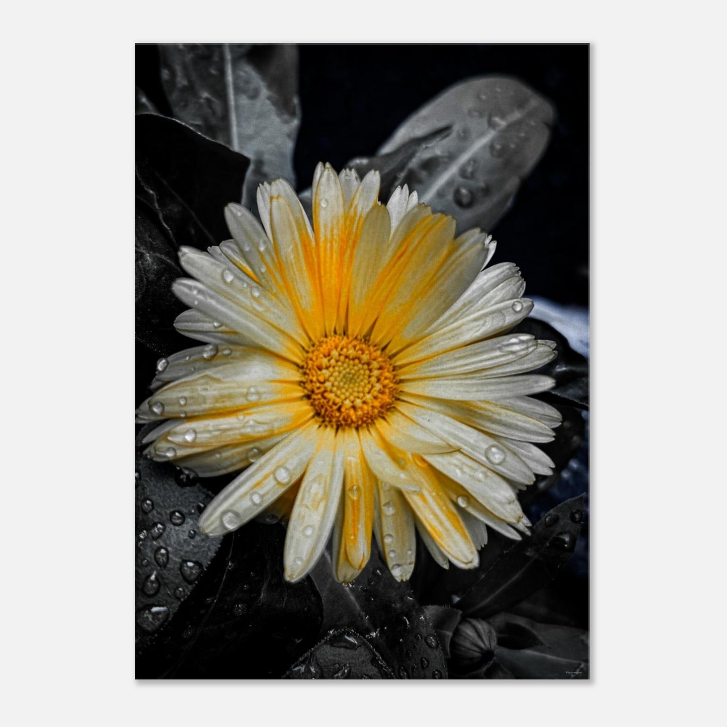 b93cf355-820b-49e6-af93-f758f9872dc3