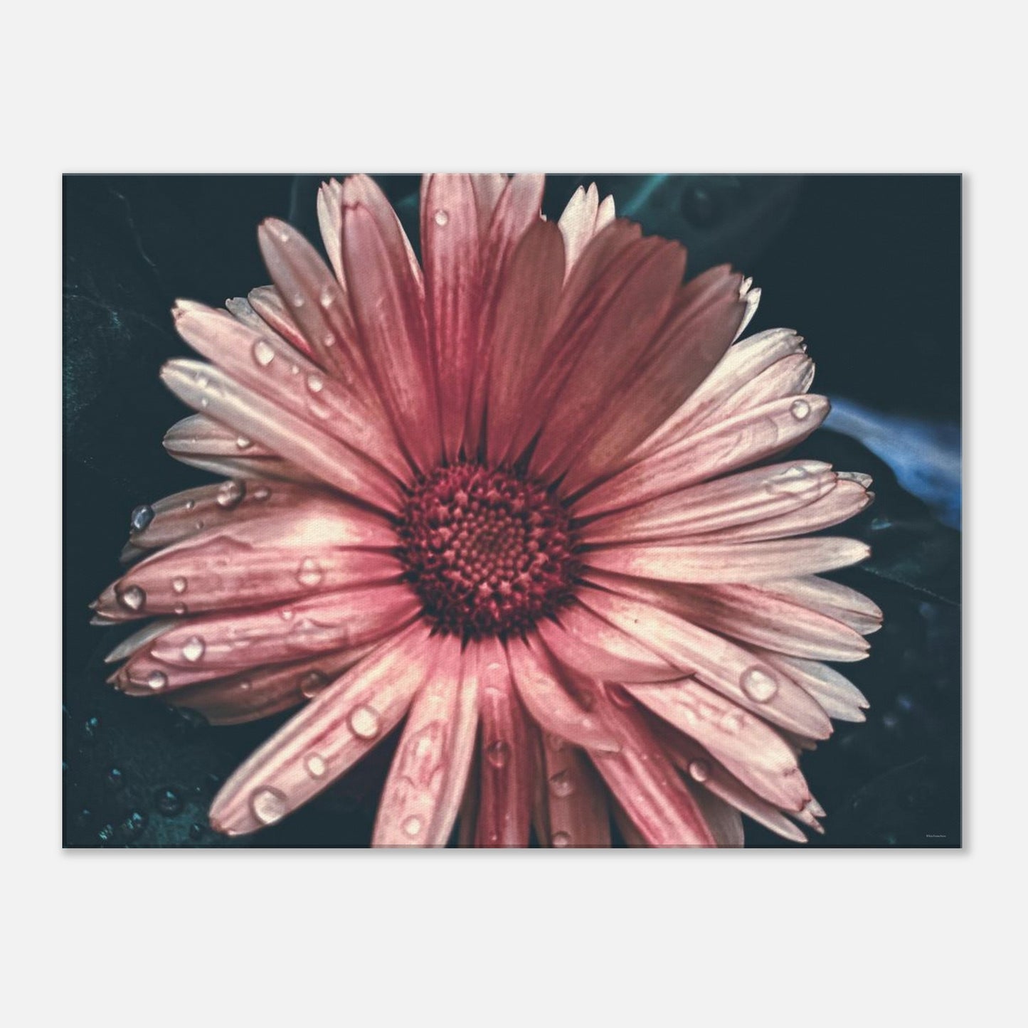 b9453973-4ea1-4b9a-b2a4-9277fefabf46