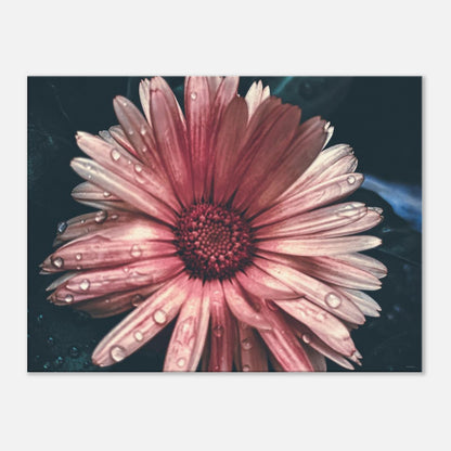 b9453973-4ea1-4b9a-b2a4-9277fefabf46