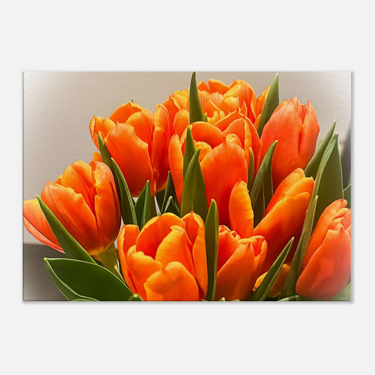 b9488b74-21e2-43ed-b7e9-c6af4f4e344d