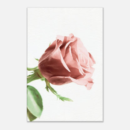 b9523a96-523a-4114-9f25-3873527d784d