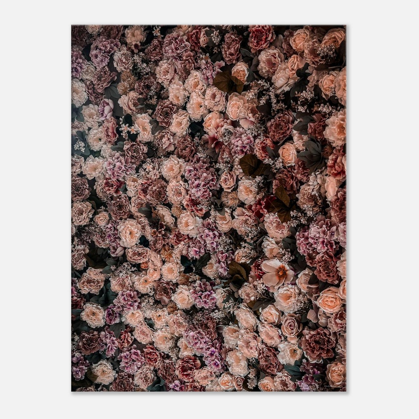 b989fec1-6834-409c-a435-3dda7576281e