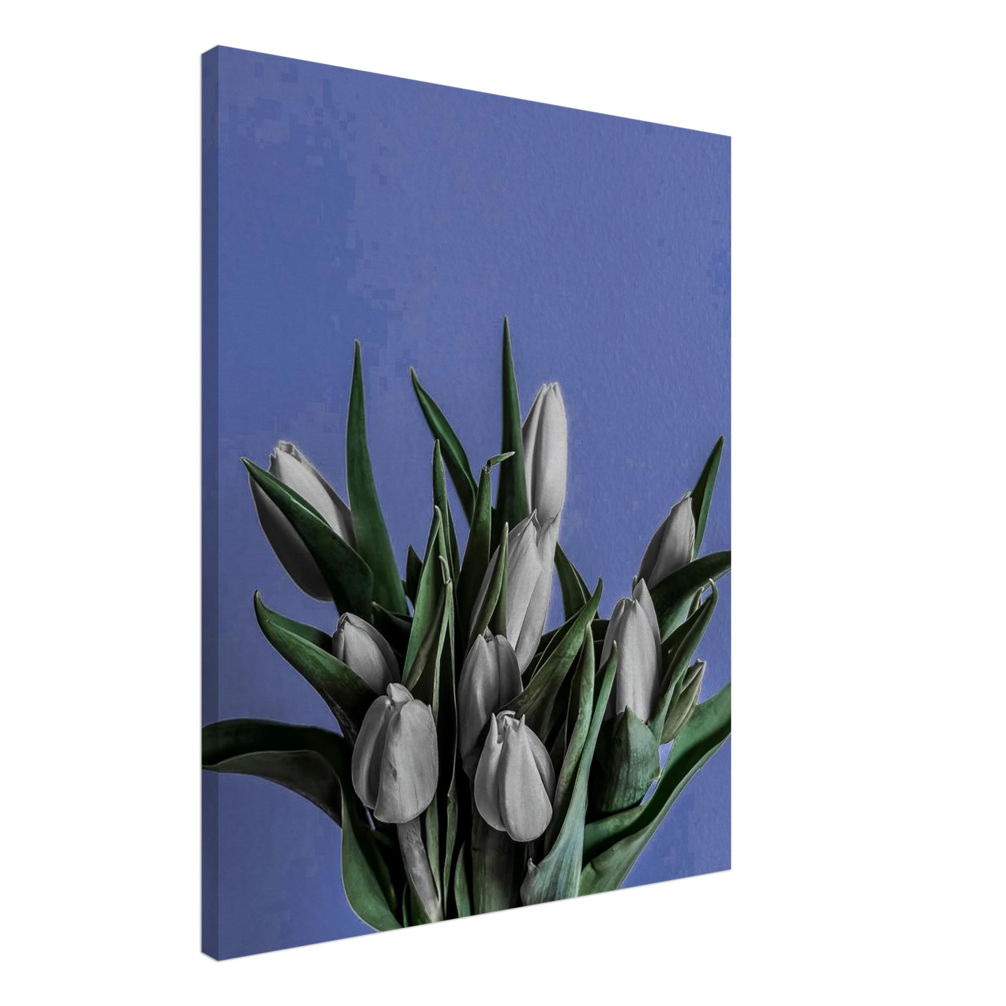 b9a9c55e-dc58-4737-aa9a-da50c024dcf3