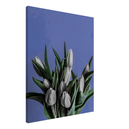 b9a9c55e-dc58-4737-aa9a-da50c024dcf3