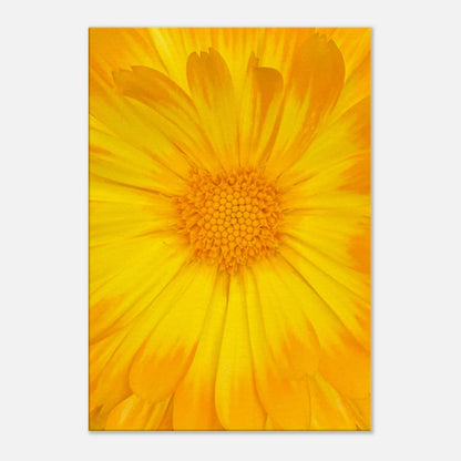 b9ca36ce-66c9-4b5f-b14d-2aadf1e7b4e3