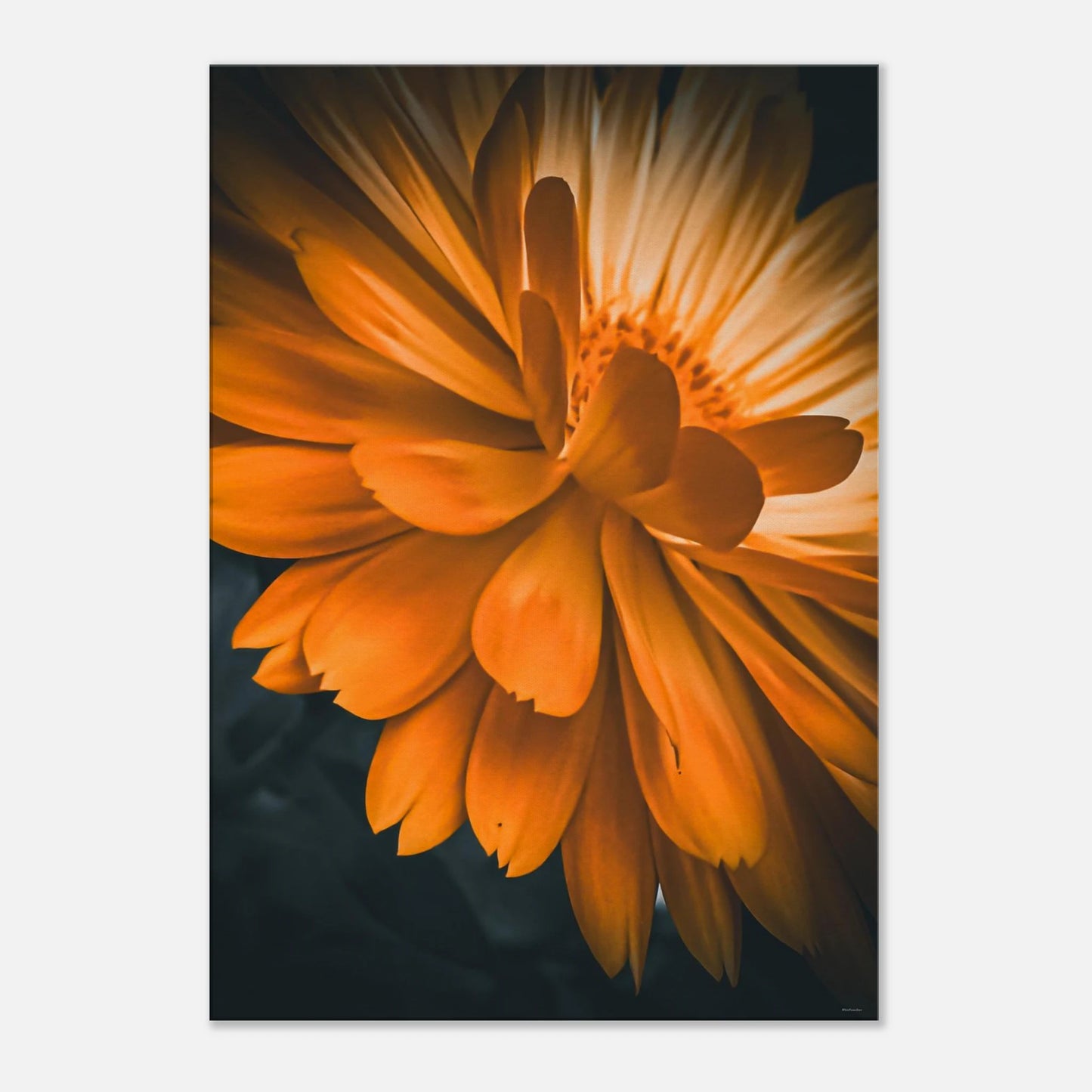 b9cc2b0e-1cce-48ac-9ebe-ed8f83733093