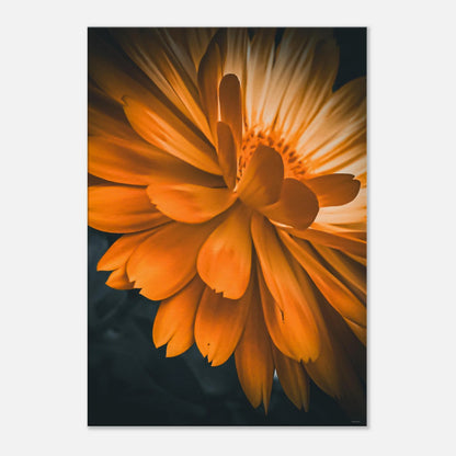 b9cc2b0e-1cce-48ac-9ebe-ed8f83733093