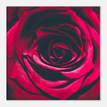 b9d1abfe-4194-4c02-abfa-34421e566300