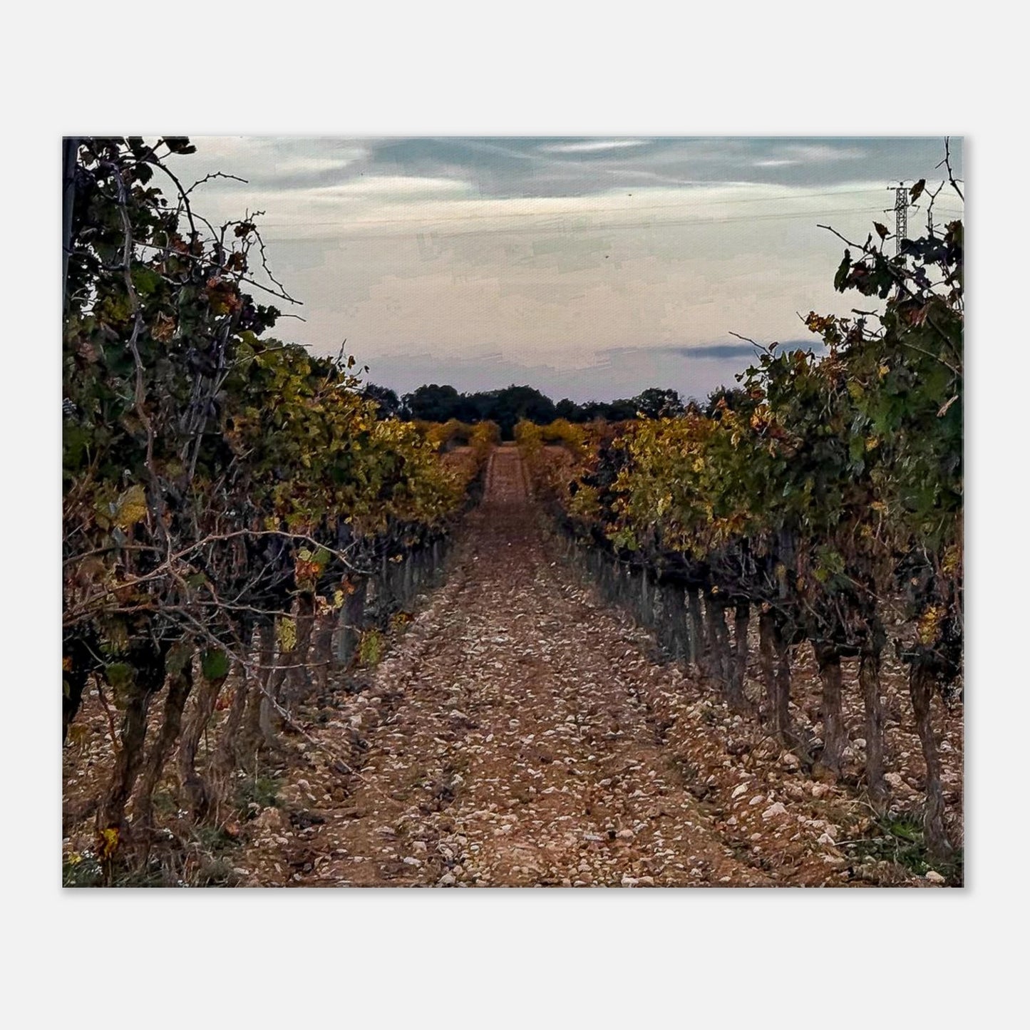 ba3d5b86-ccef-42be-b4fc-355da0988826