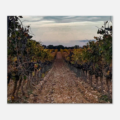 ba3d5b86-ccef-42be-b4fc-355da0988826