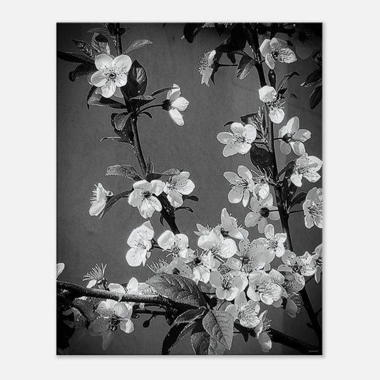 ba613194-e02b-49f6-9a06-9232586e9cf8